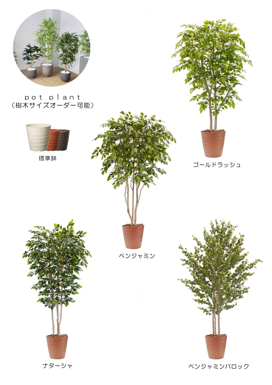 Page (追加)1(31ページ目)