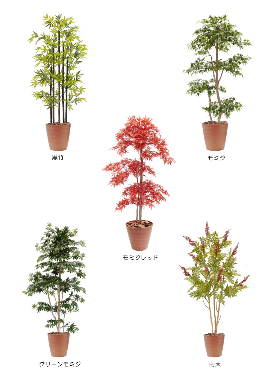 Page (追加)5(36ページ目)