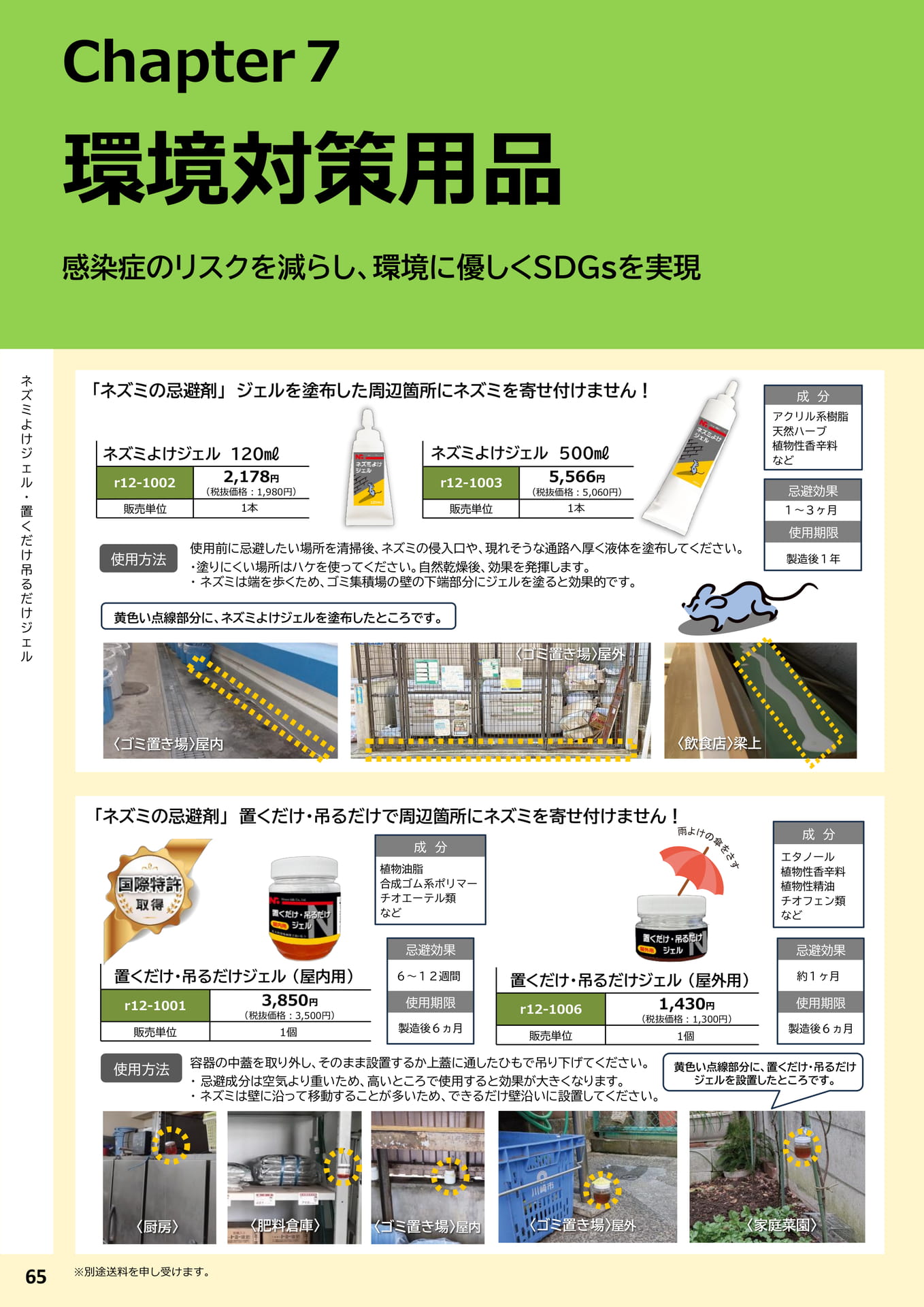 Page 66（66ページ目）
