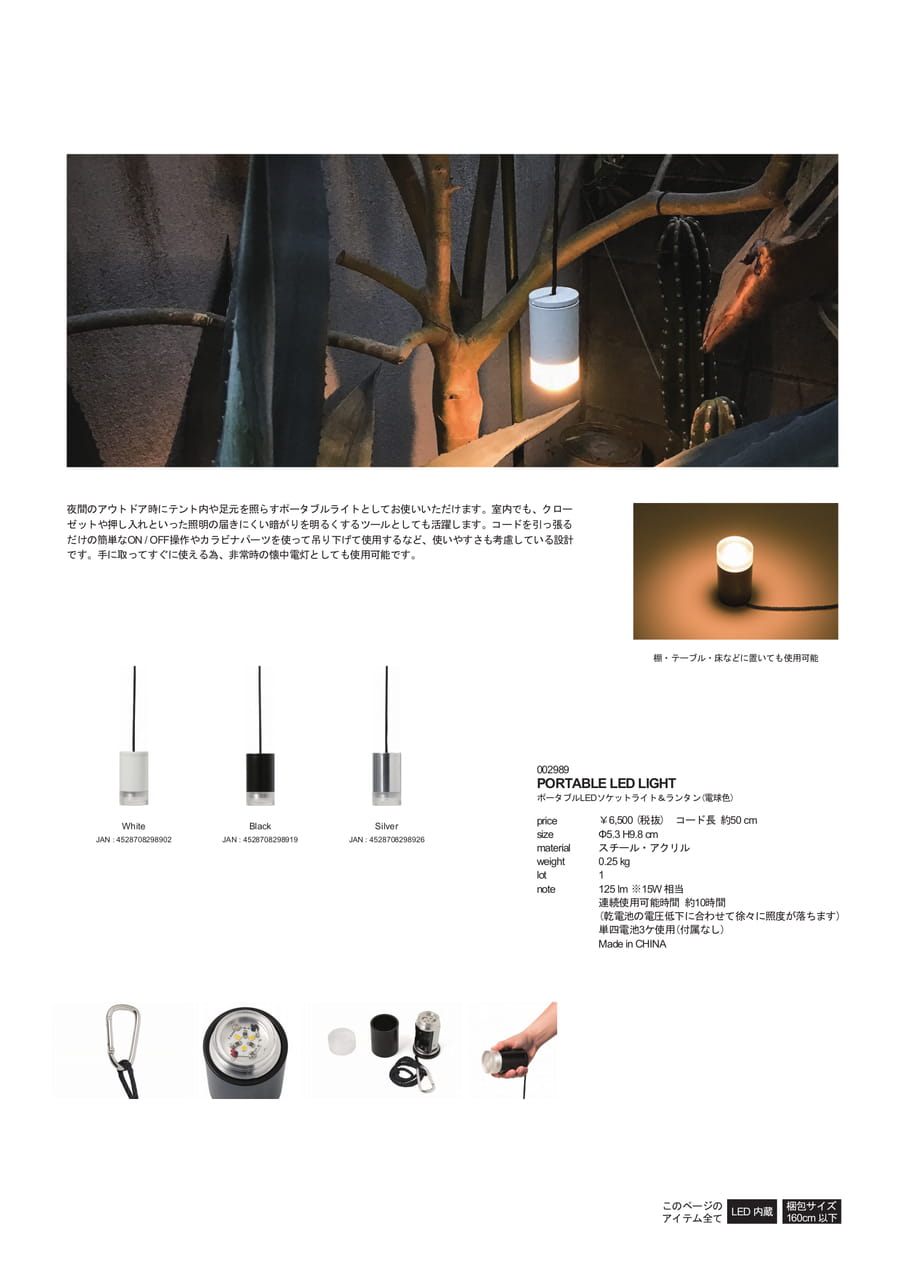 Page 31（31ページ目）