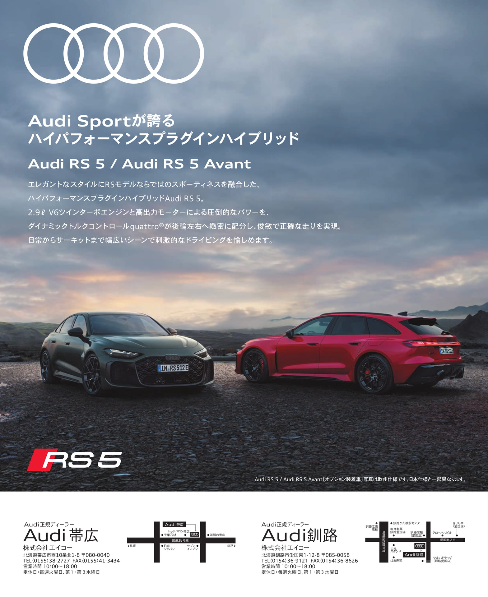 Audi RS 5 / Audi RS 5 Avant(39ページ目)
