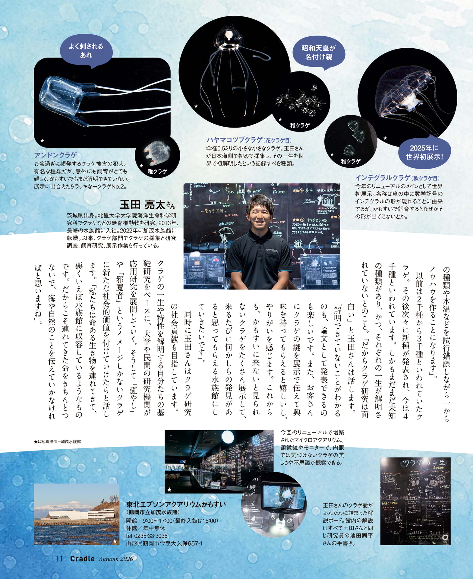 ページ（11ページ目）