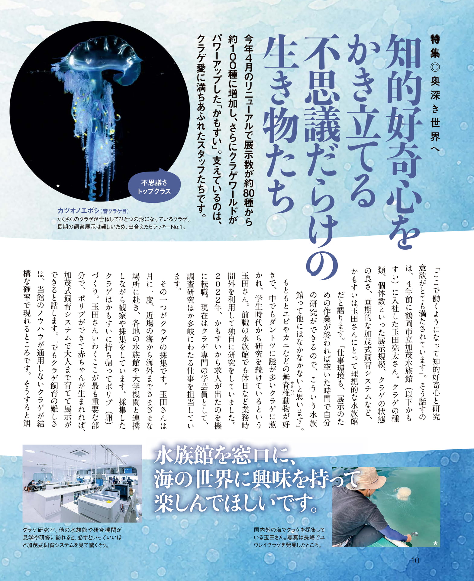 ページ（10ページ目）