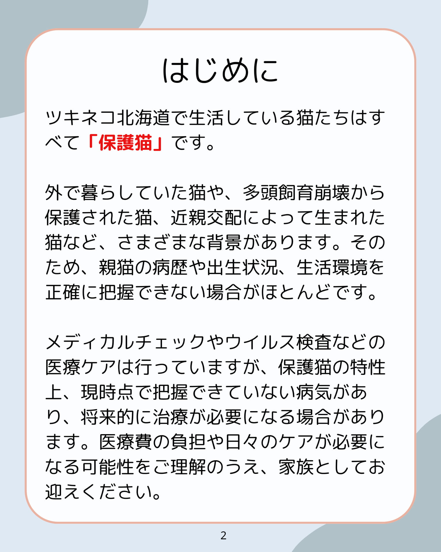 はじめに(2ページ目)