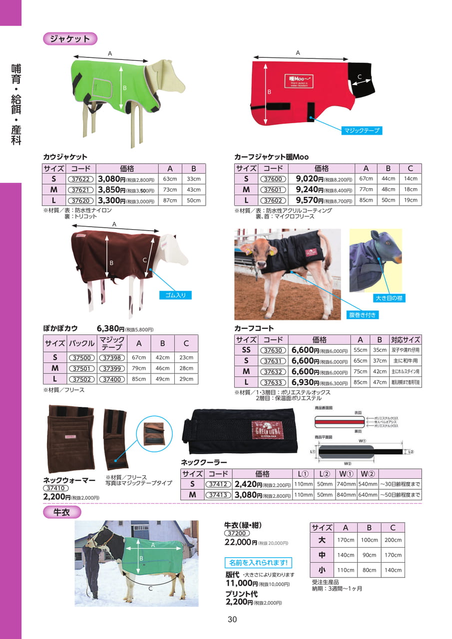 Page 30（30ページ目）