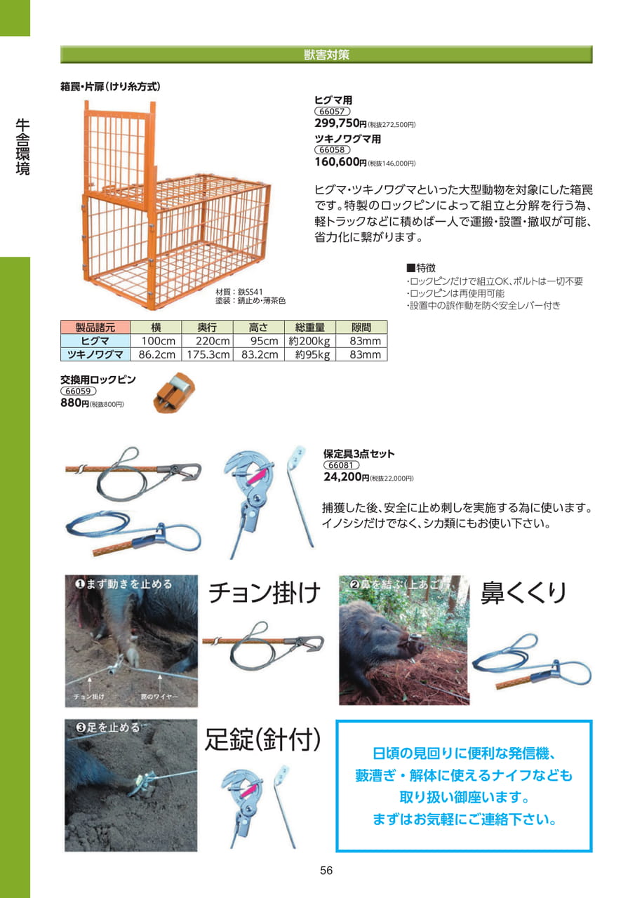 Page 56（56ページ目）