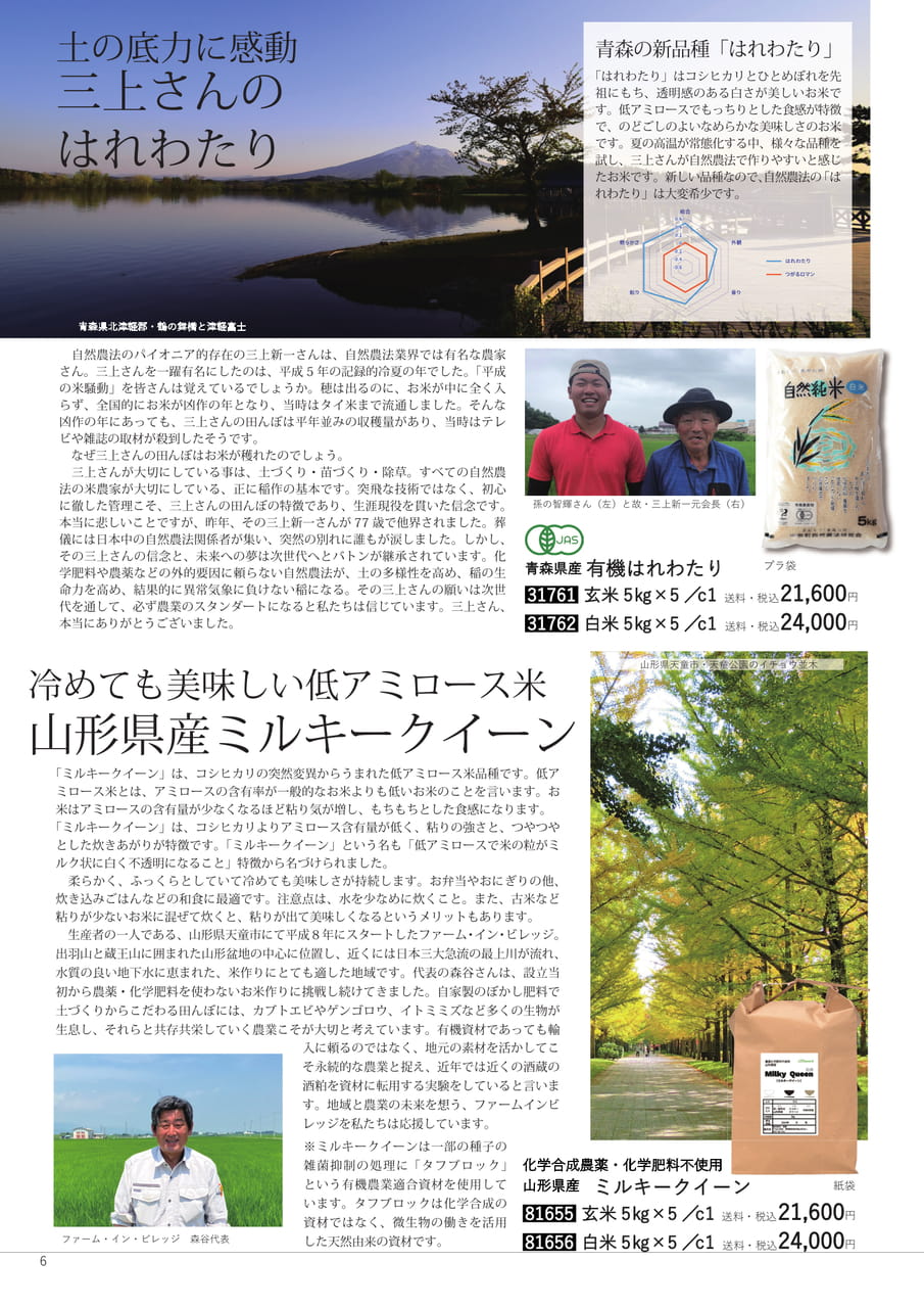 Page 06（6ページ目）