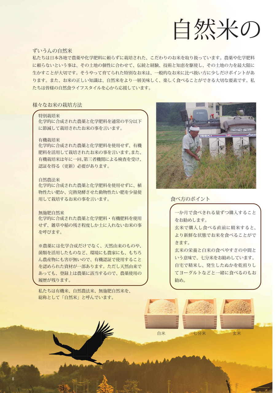 Page 08（8ページ目）