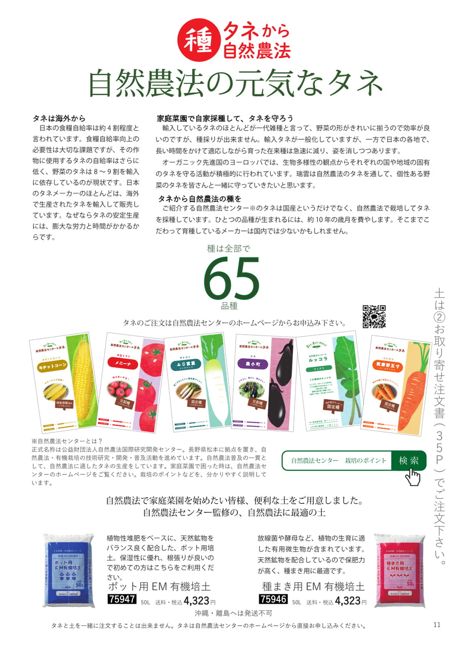 Page 11（11ページ目）