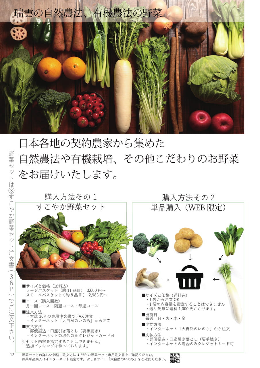 Page 12（12ページ目）