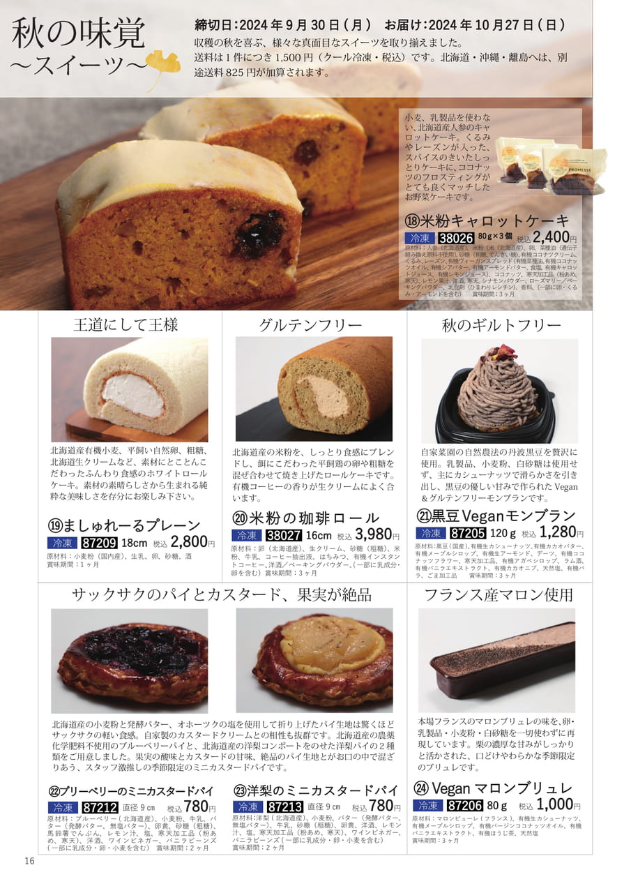Page 16（16ページ目）