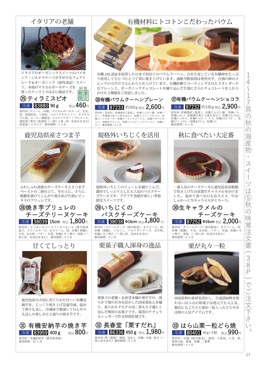 Page 17（17ページ目）