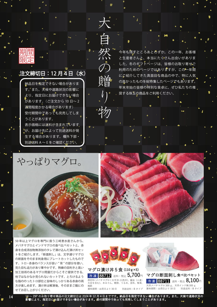 Page 14(14ページ目)