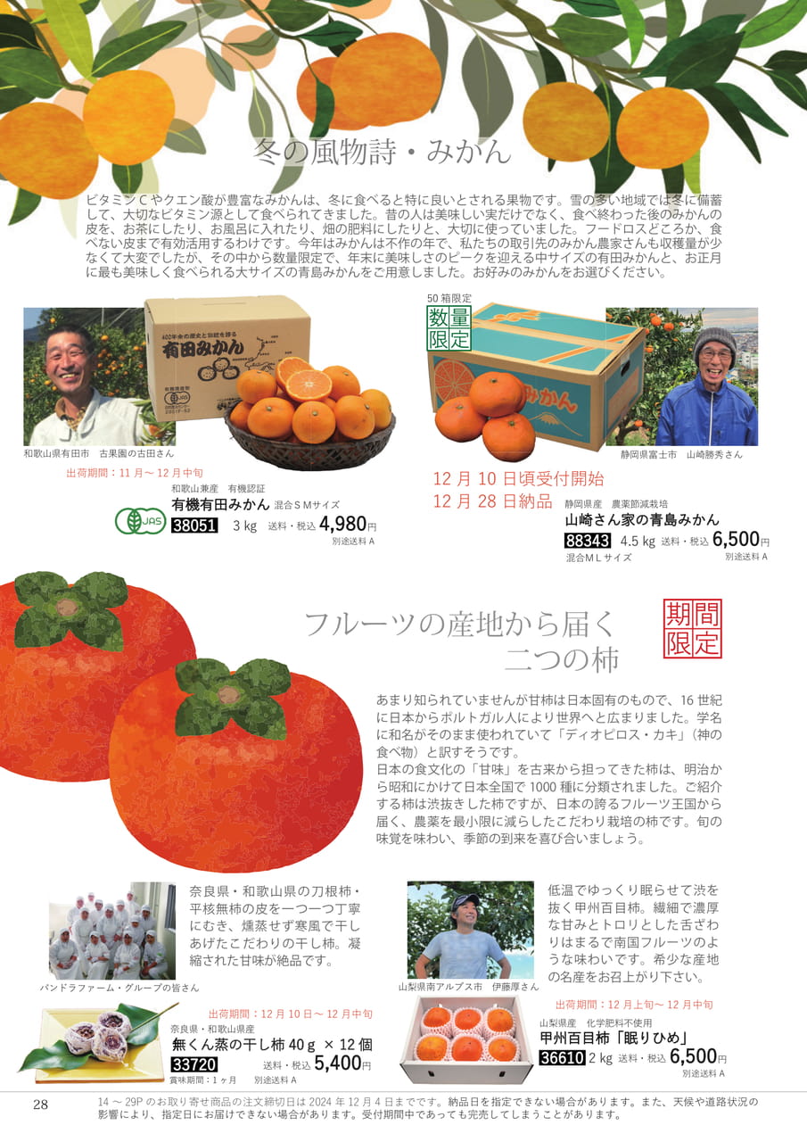 Page 28(28ページ目)