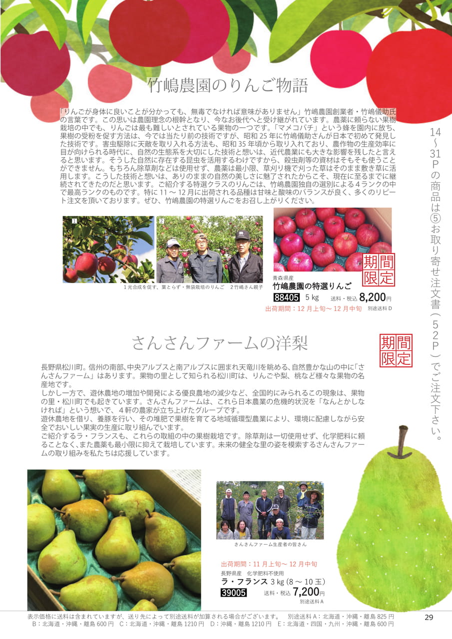 Page 29(29ページ目)