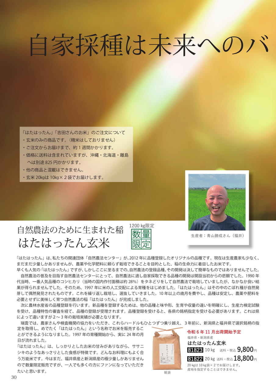 Page 30(30ページ目)