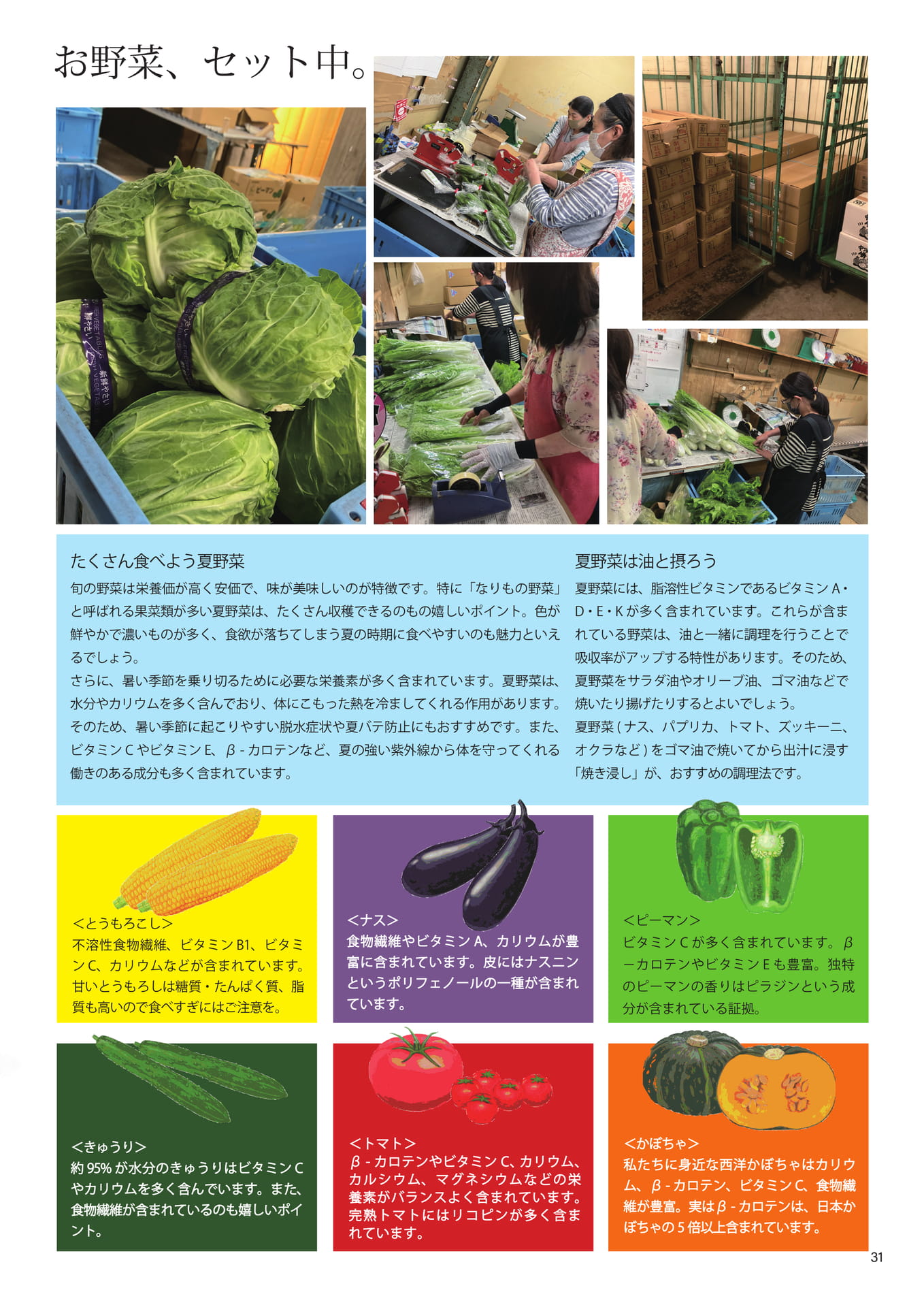 Page 31(31ページ目)