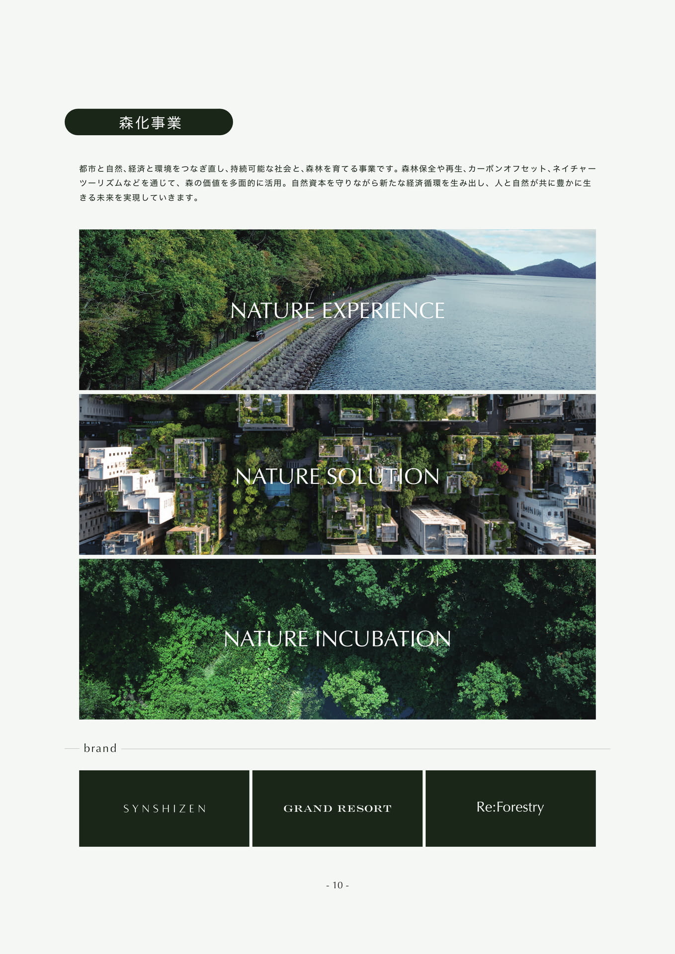 Page 11(11ページ目)