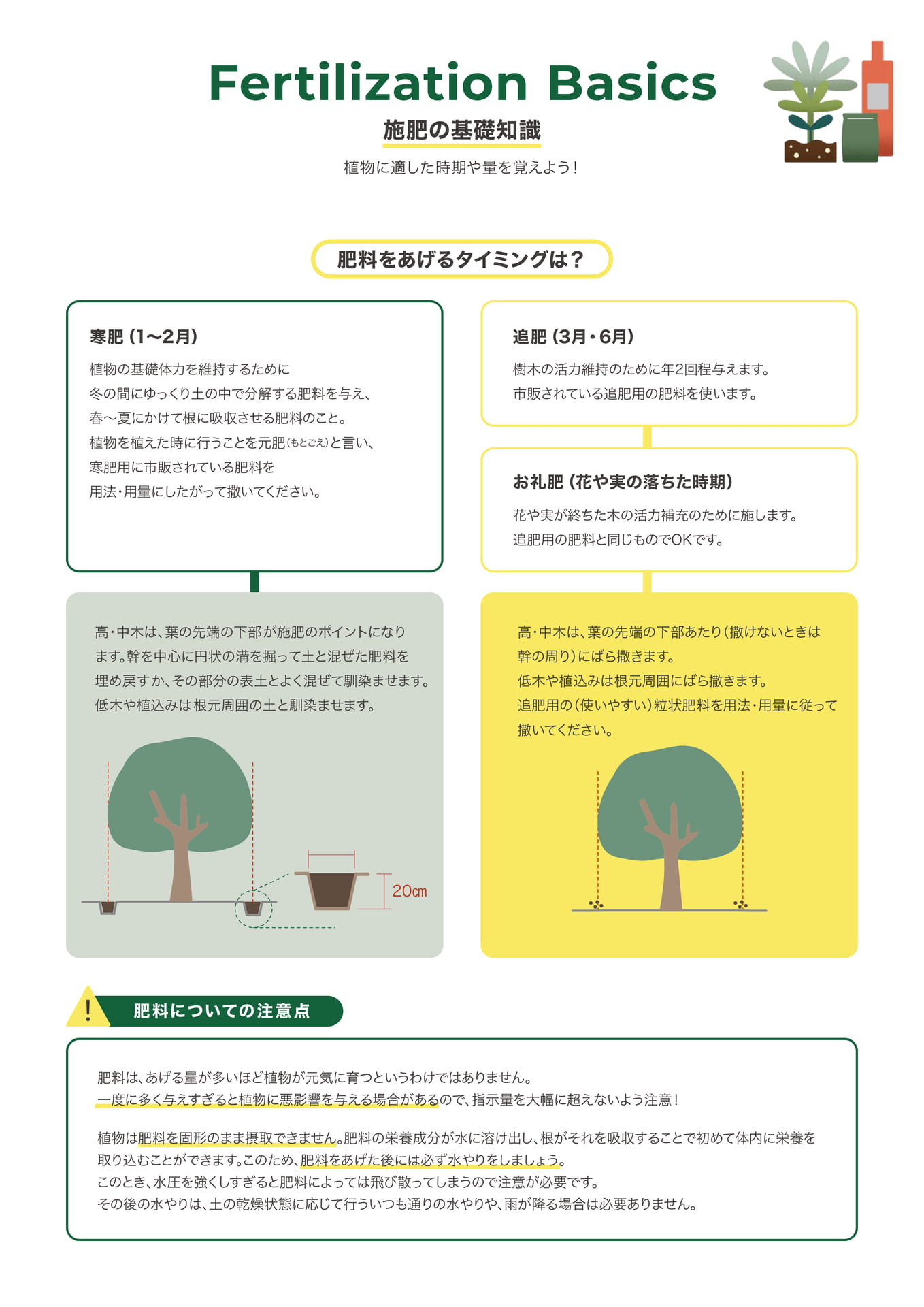 Page 5（5ページ目）