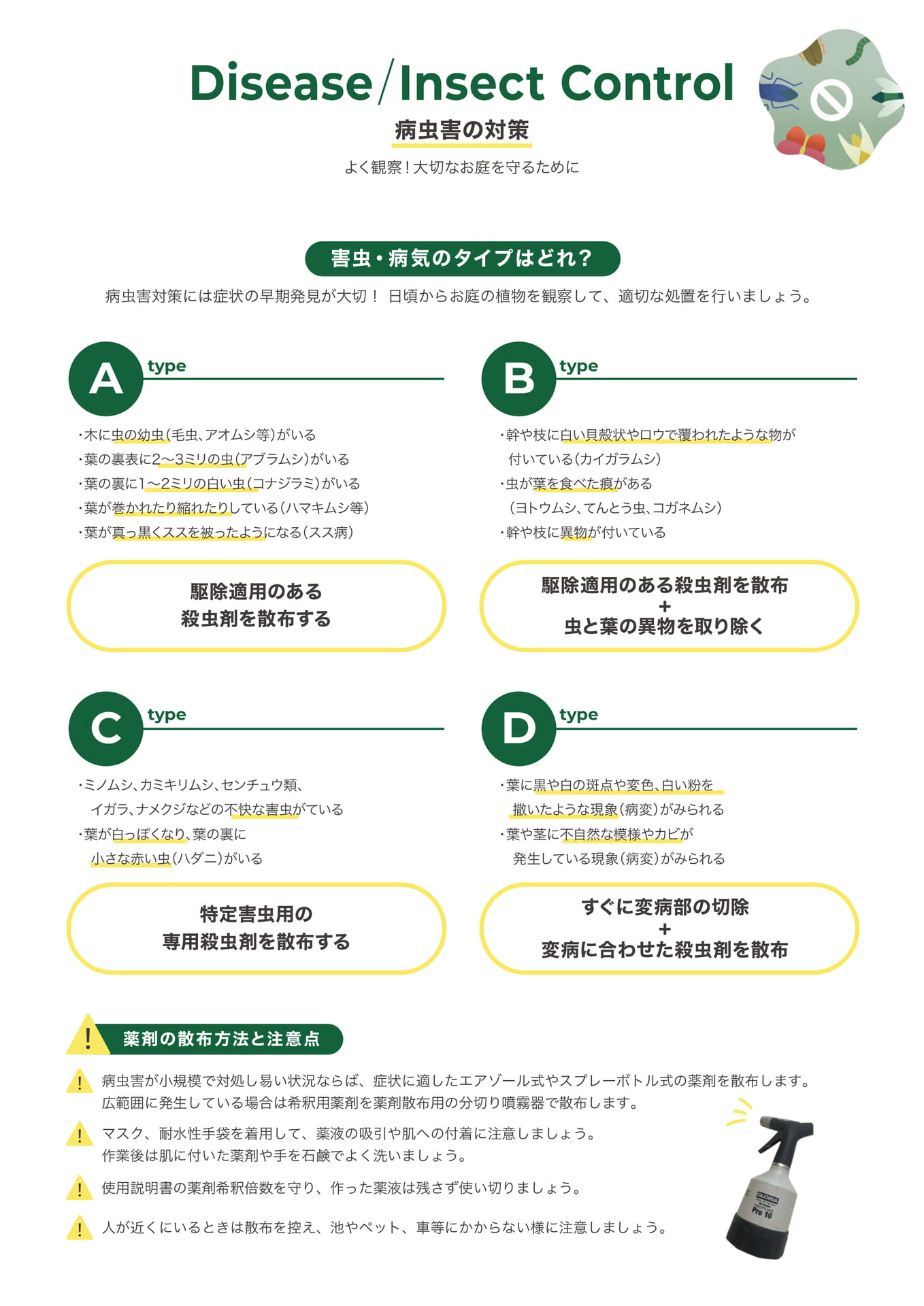 Page 6（6ページ目）