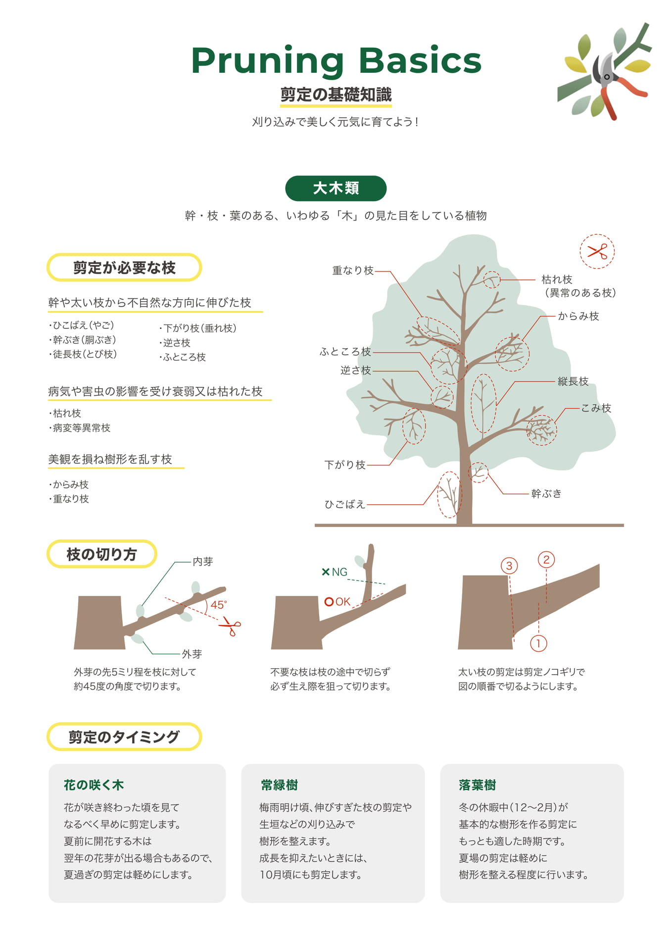 Page 7（7ページ目）