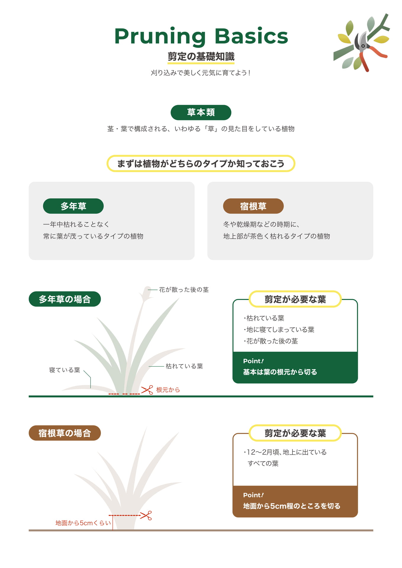 Page 8（8ページ目）