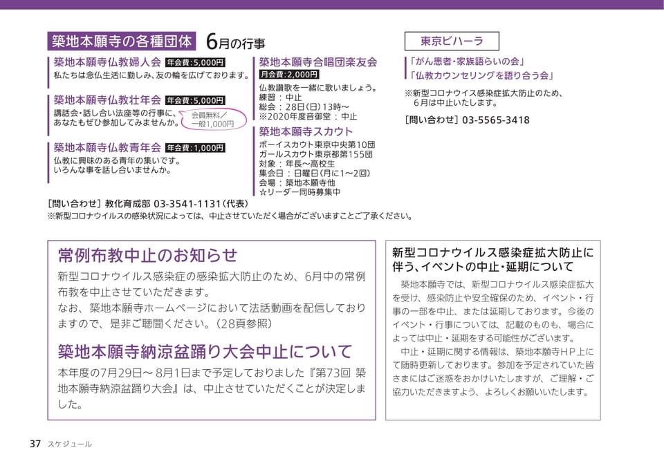 Page 37（37ページ目）