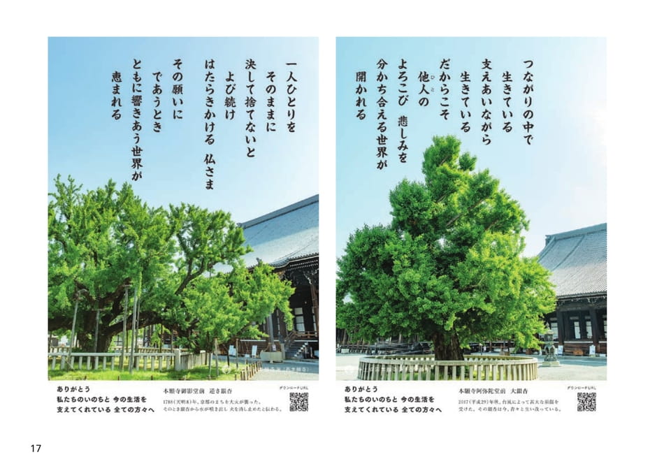 Page 17（17ページ目）