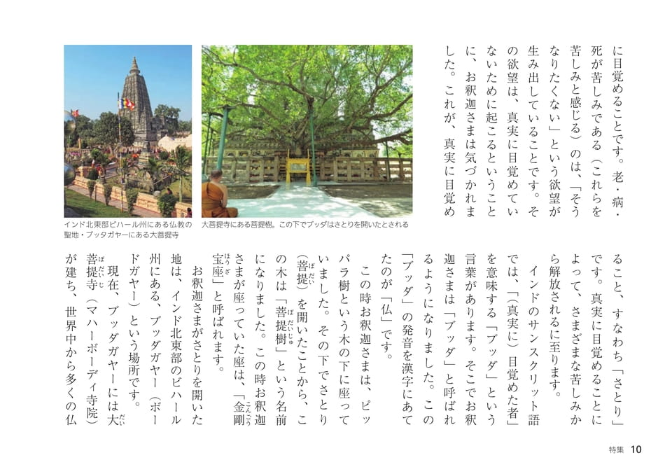 Page 10(10ページ目)