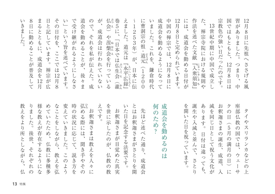 Page 13(13ページ目)