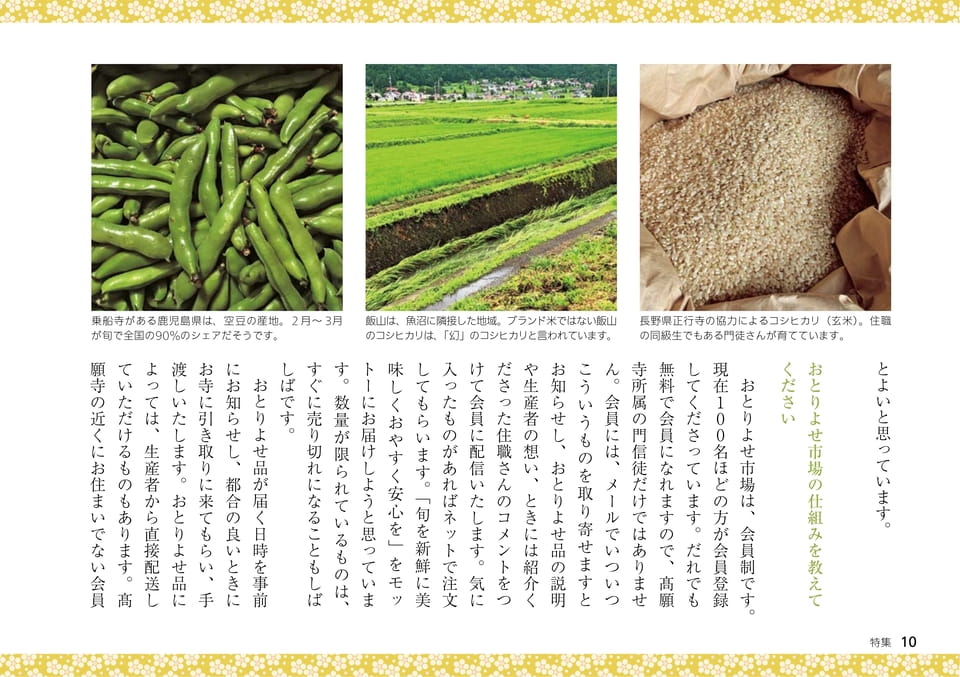 Page 10（10ページ目）