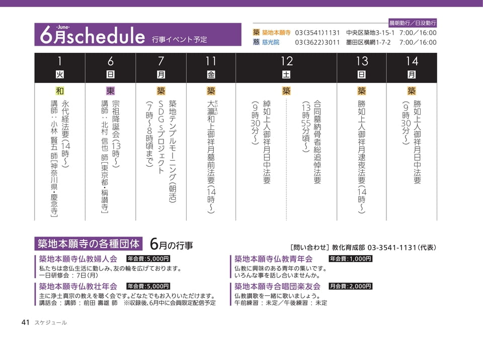Page 41（41ページ目）