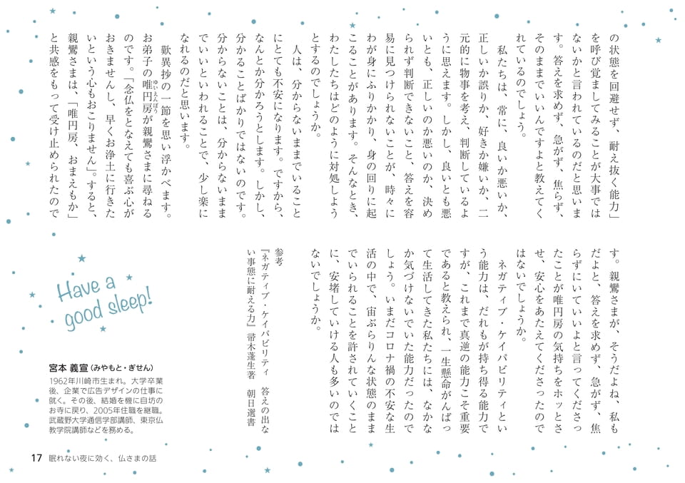 Page 17（17ページ目）