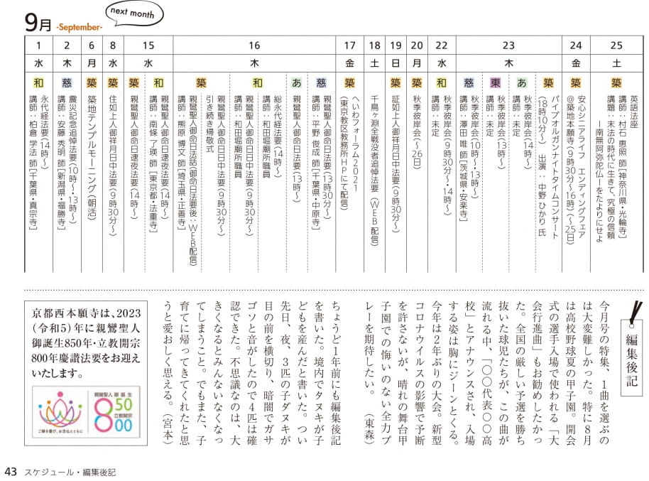Page 43（43ページ目）