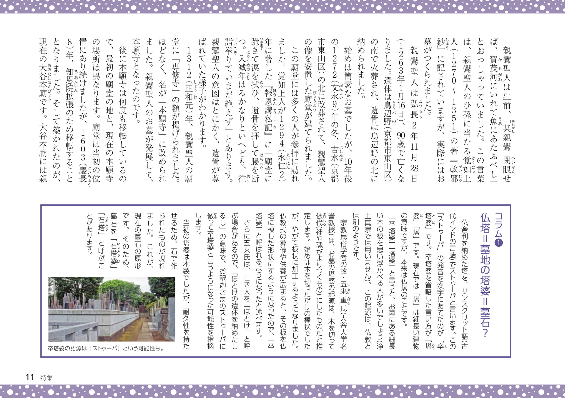 Page 11（11ページ目）