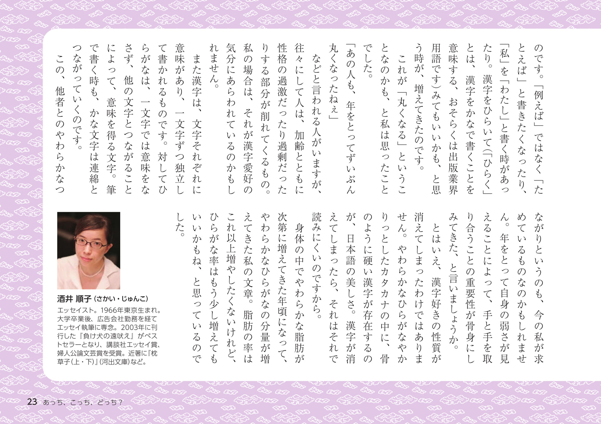 Page 23（23ページ目）