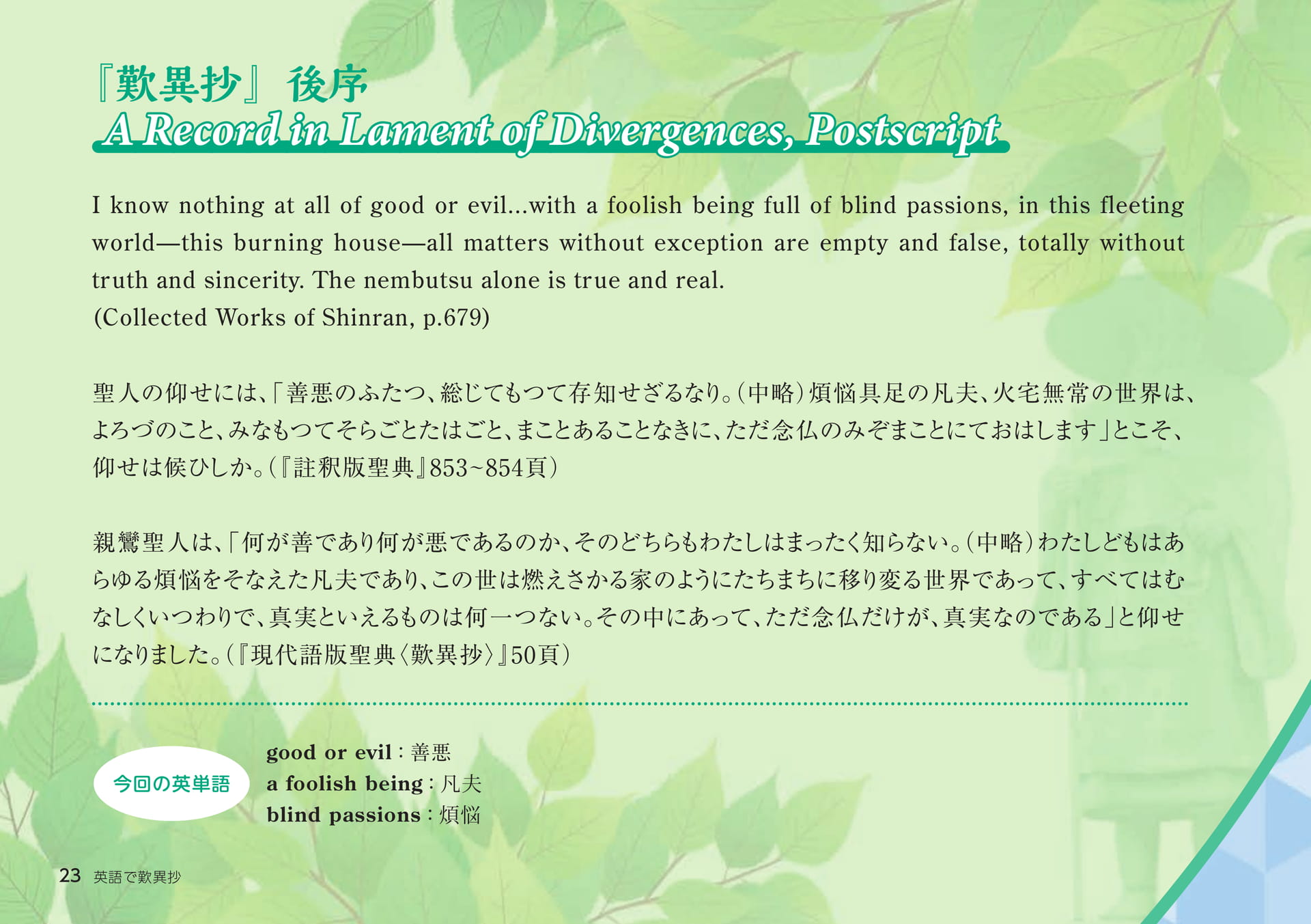 Page 23（23ページ目）