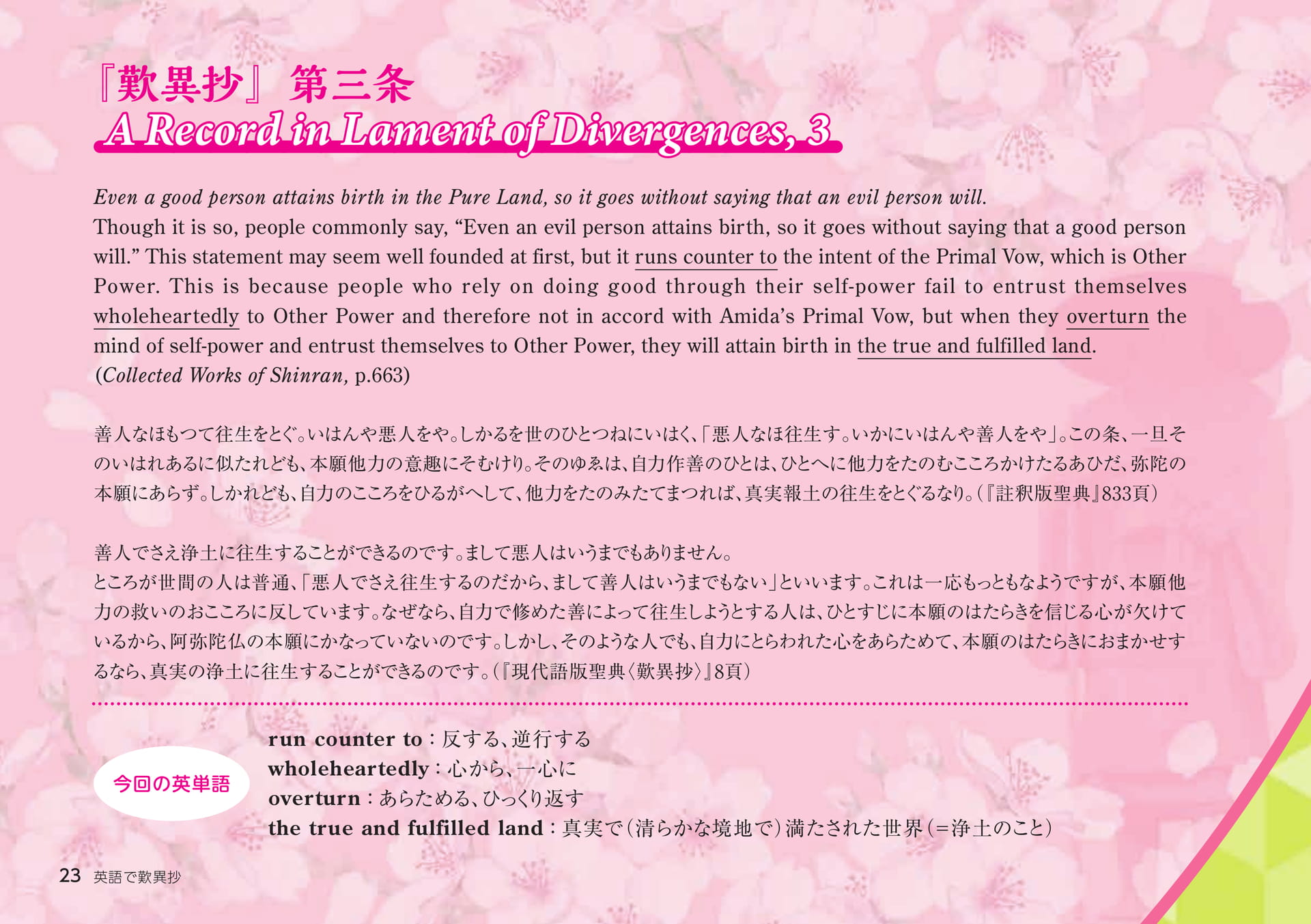 Page 23（23ページ目）