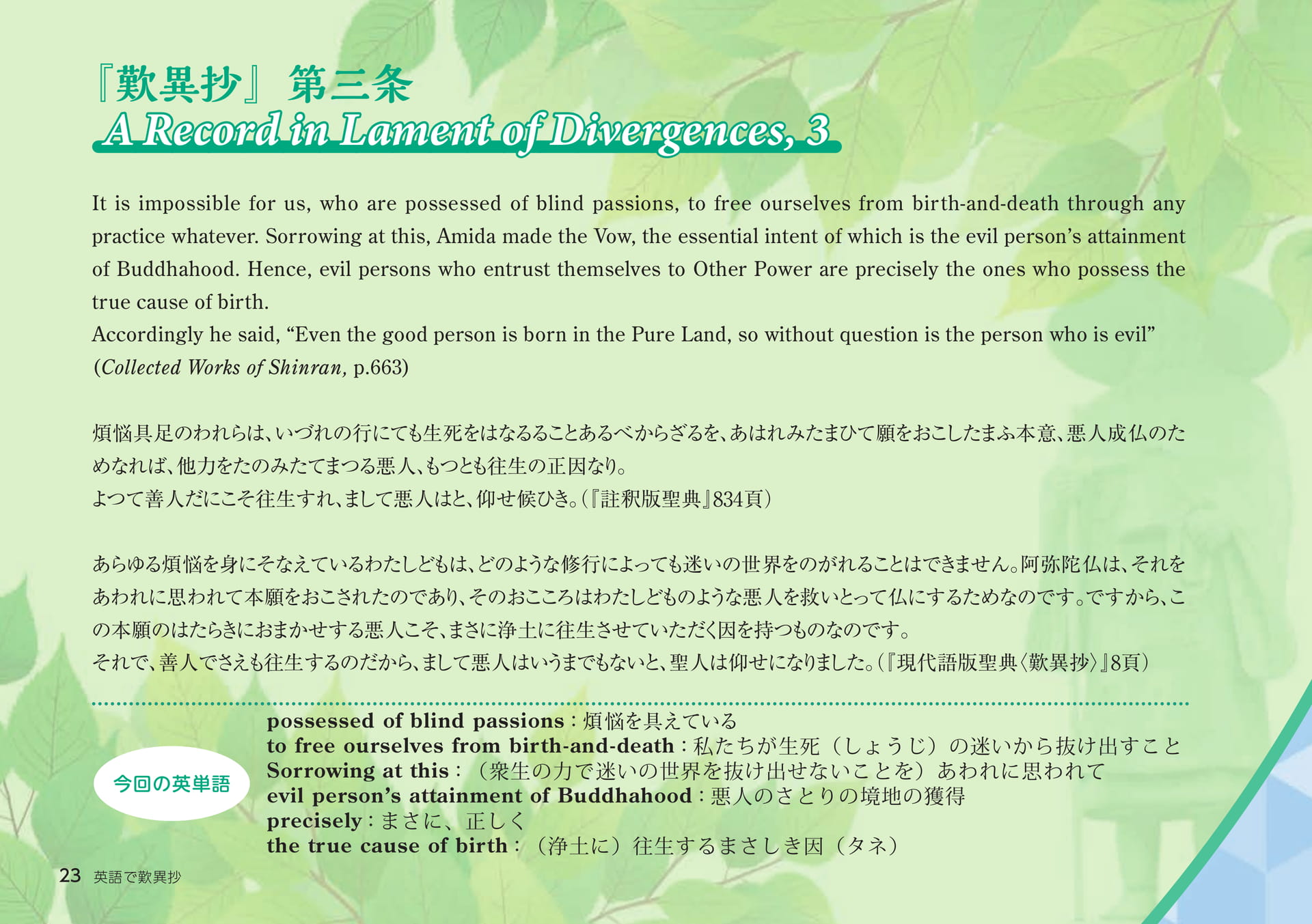 Page 23（23ページ目）