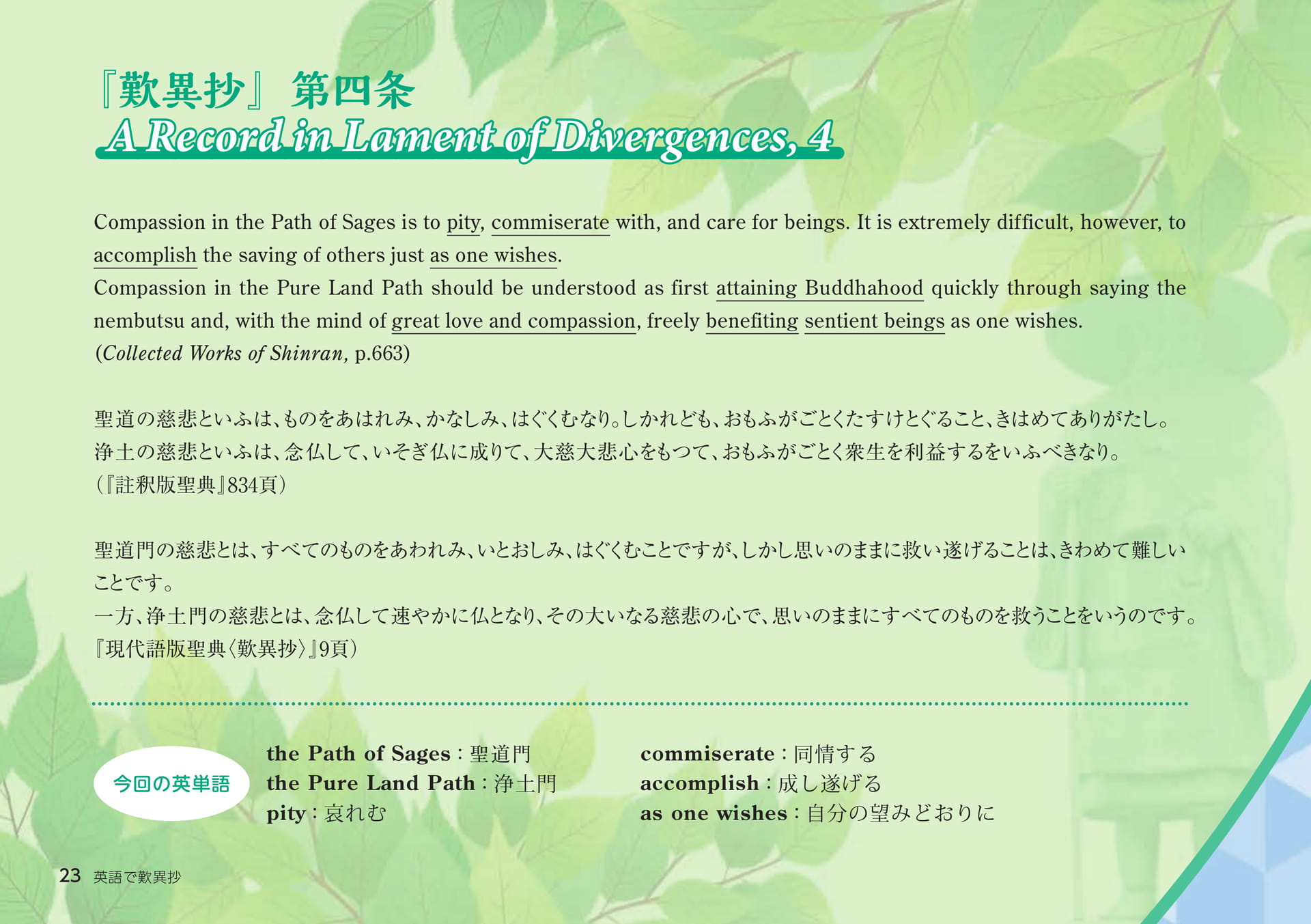 Page 23（23ページ目）