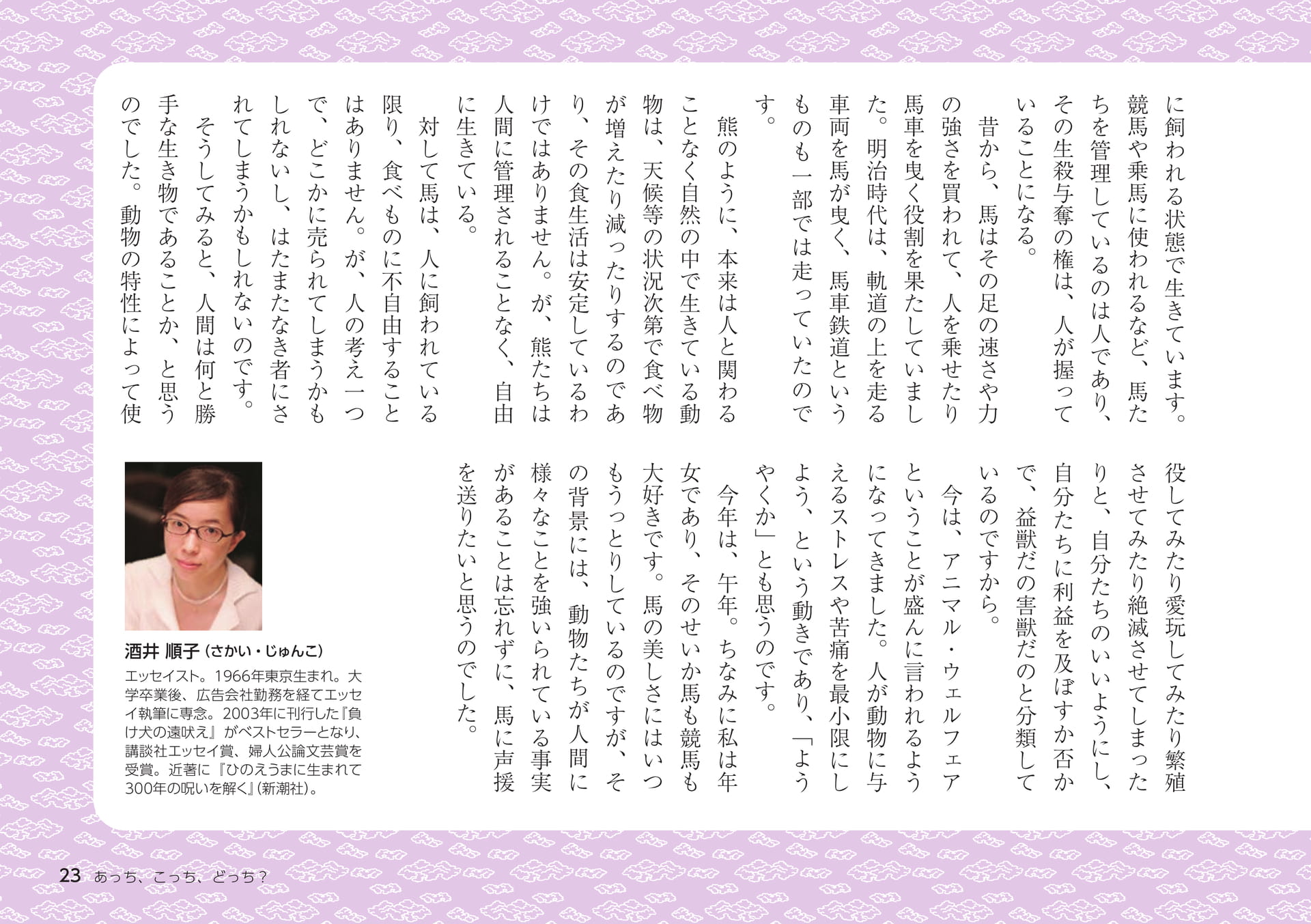 Page 23（23ページ目）
