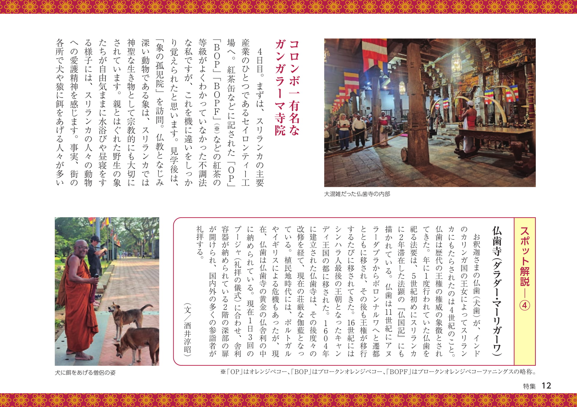 Page 12（12ページ目）