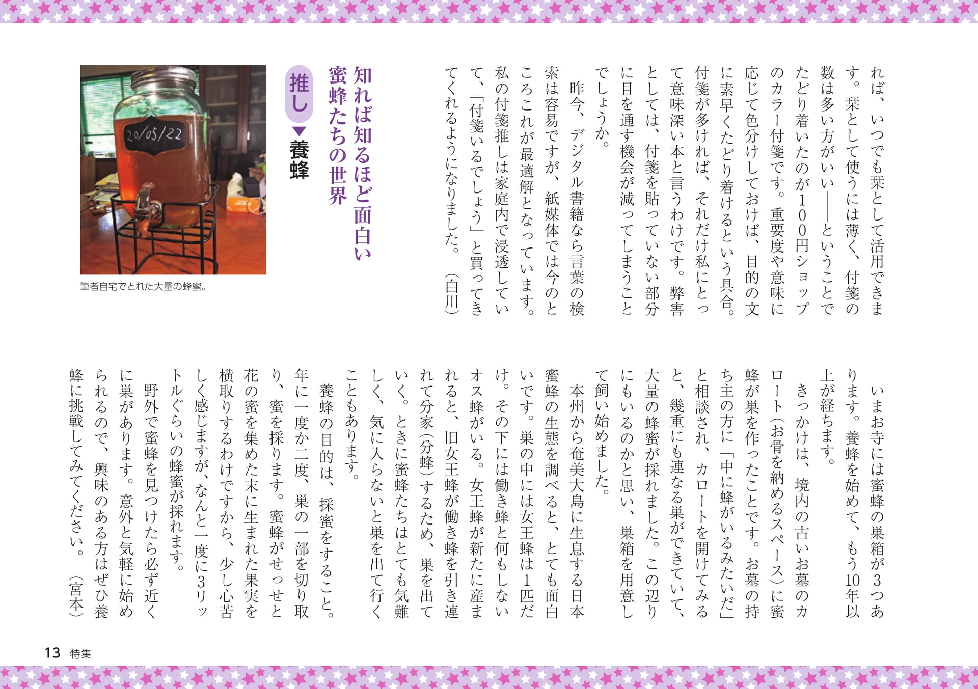 Page 13（13ページ目）