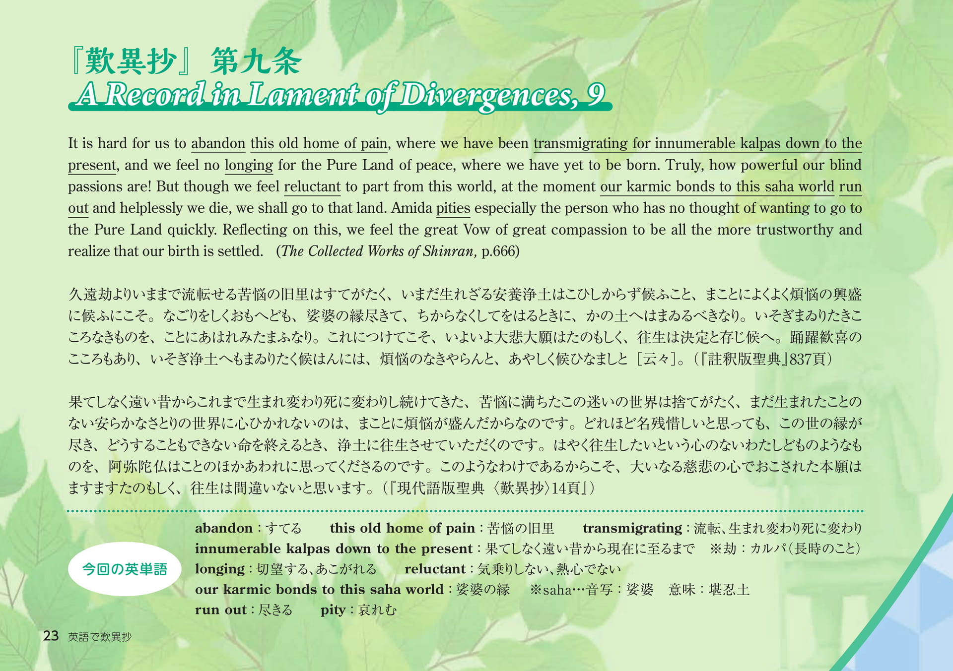 Page 23(23ページ目)