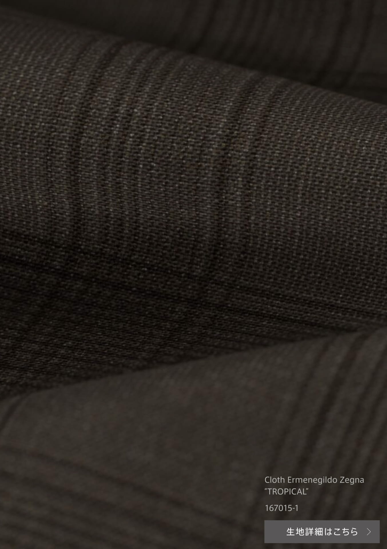 Cloth Ermenegildo Zegna “TROPICAL”(2ページ目)