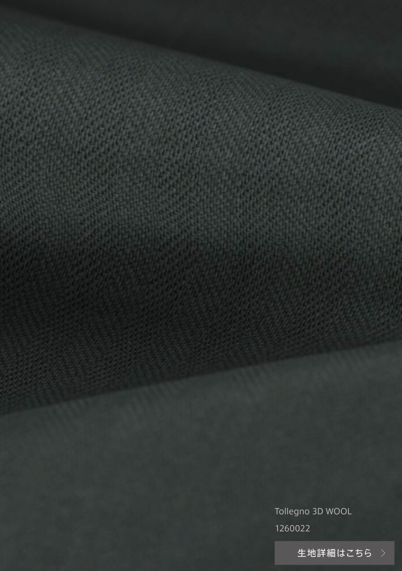 Tollegno 3D WOOL(8ページ目)