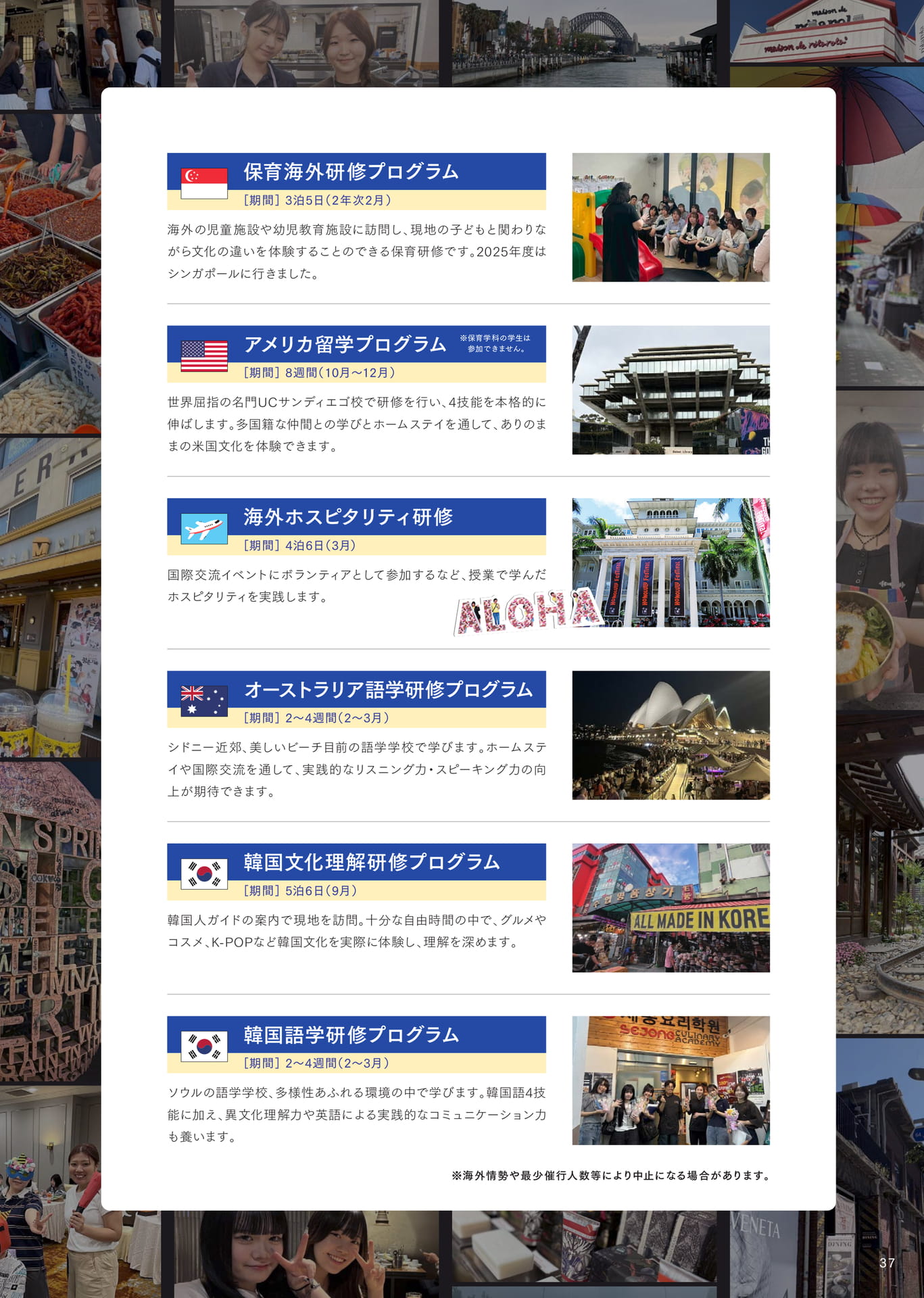 Page 39（39ページ目）
