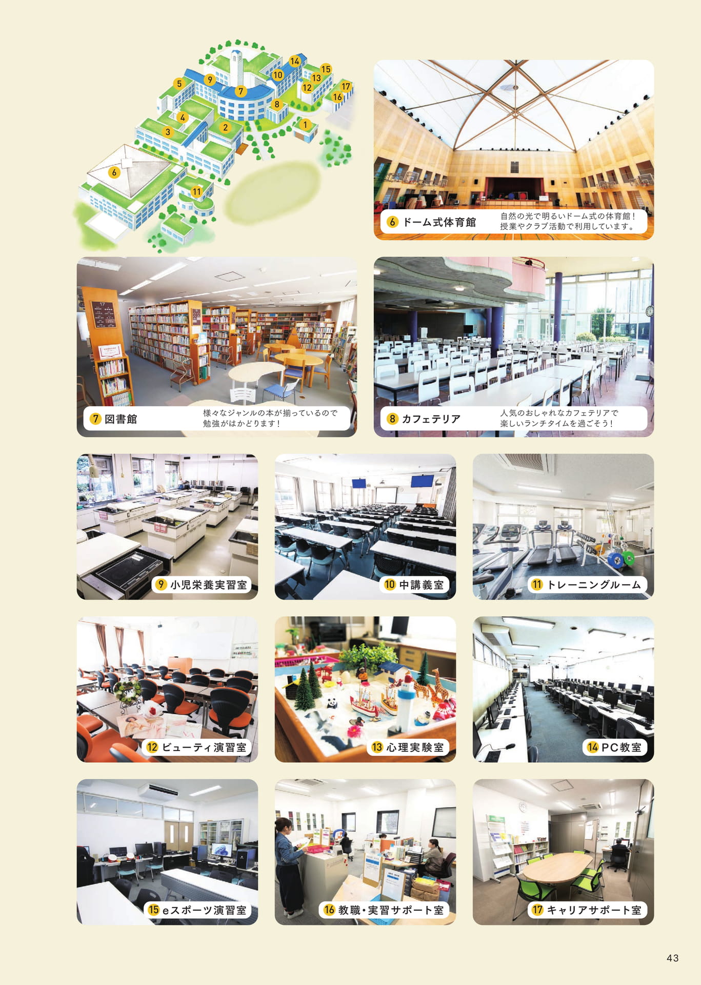 Page 45（45ページ目）