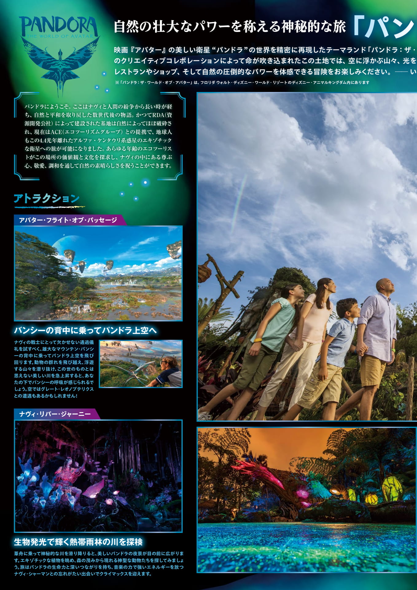 Page 2（2ページ目）