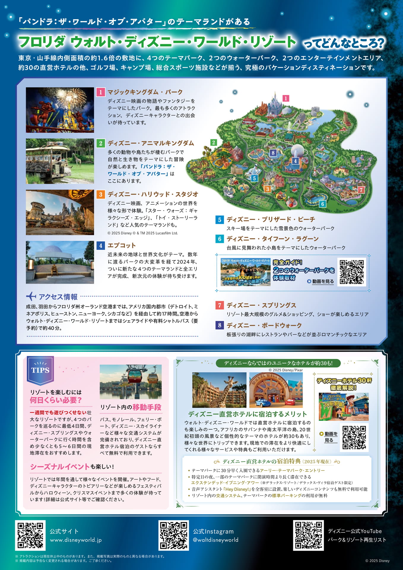 Page 4（4ページ目）